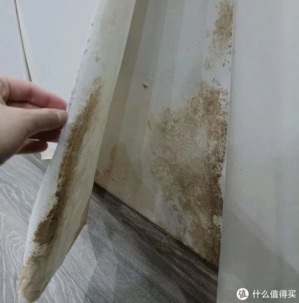新房装修指南 篇一百七十：入住新家四个月，发现这7个地方没必要装修太好，句句肺腑